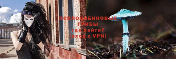марки lsd Белокуриха