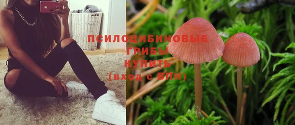 прущая мука Белоозёрский
